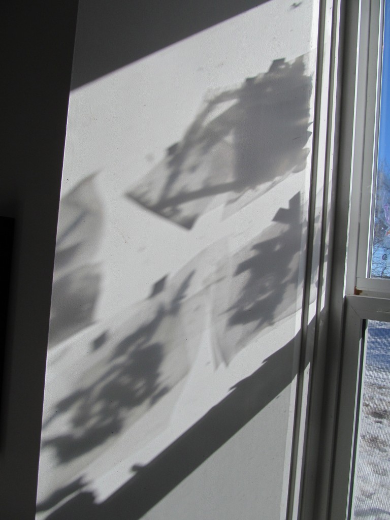 the student's designs make shadows on the wall in the afternoon light