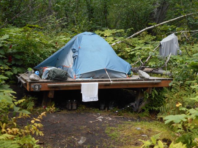 There were platforms for tents (thank heavens) and the sleeping area were kept away from the eating area due to the possible presence of grizzly and black bears. We saw neither.