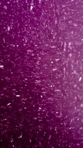 We saw art everywhere - a purple kitchen floor at Rebekah's